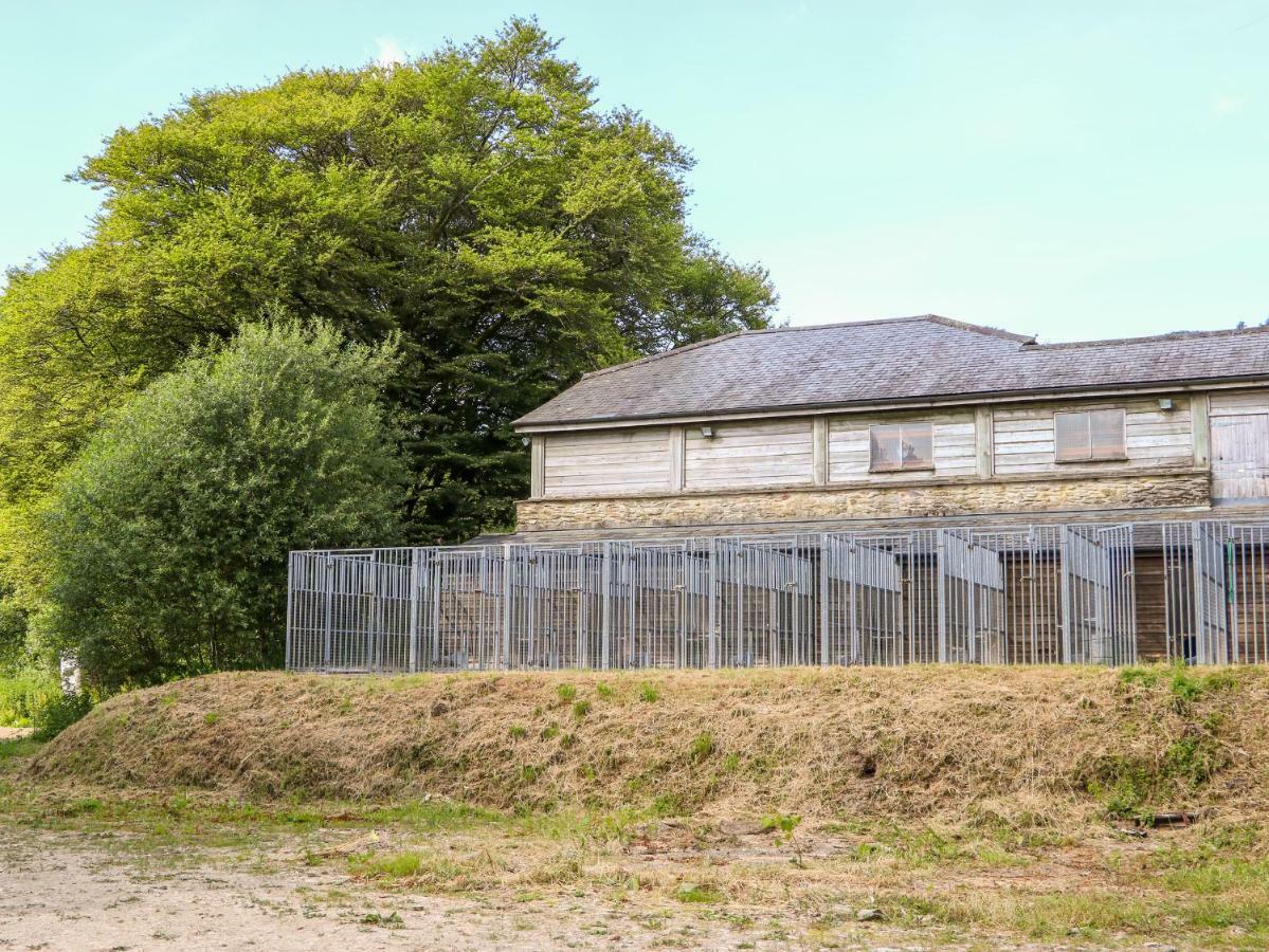 Great Bradley Cottage Minehead Esterno foto